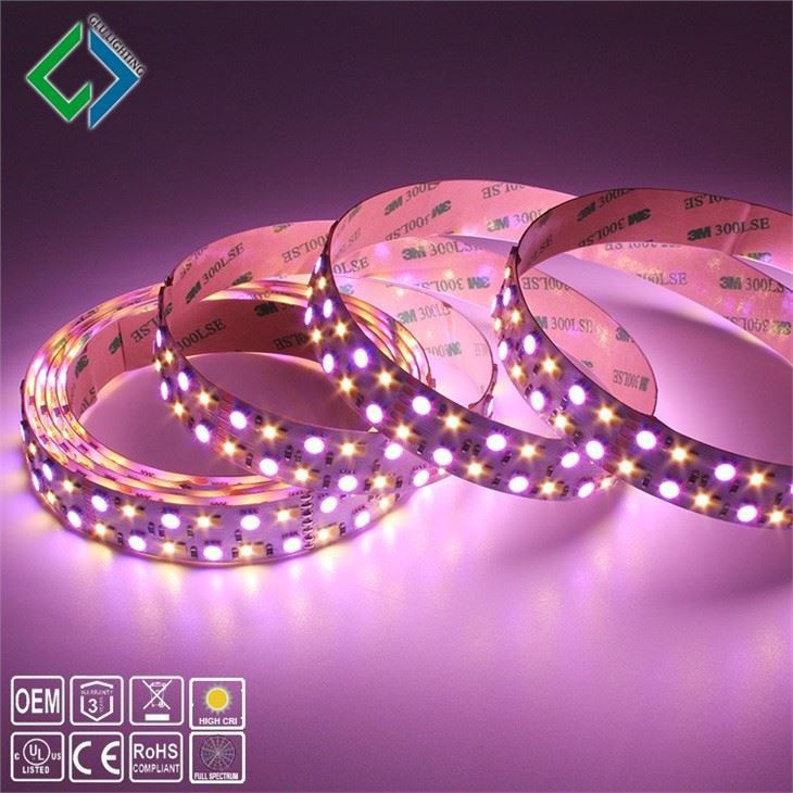 CINEMA LED Ribbon® 시리즈(Ra95+)